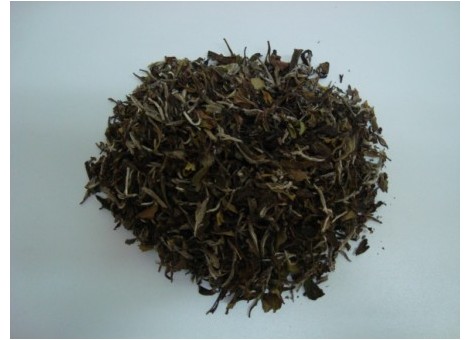 PAI MU TAN WHITE TEA (Thea sinensis)