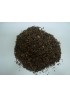 GUNPOWDER GREEN TEA (Thea sinensis)