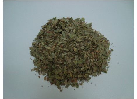ARÁNDANO HOJAS (Vaccinium myrtillus)